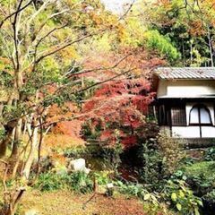 【横浜市】気軽な茶道教室　3週間に1度の間隔で、和室でお菓子と抹茶を召し上がって作法を学びませんか？の画像