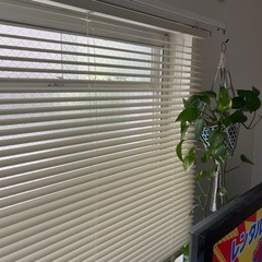 【新品ほぼ未使用】ブラインド　アイボリーの画像