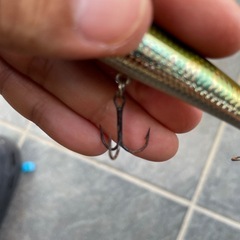 釣具、ルアーの画像