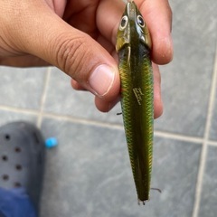 釣具、ルアーの画像