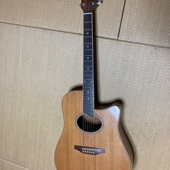 Washburn アコギ　新品弦に交換済