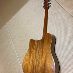 Washburn アコギ　新品弦に交換済の画像