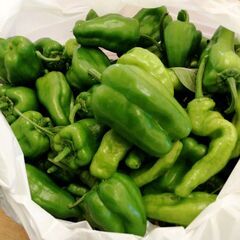 2.5kg以上★無農薬ピーマン、ししとう　野菜