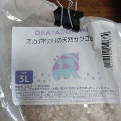 オオヤドカリの天然サンゴ砂