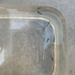 メダカ　幹之の画像