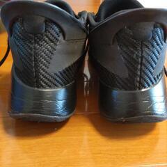 ジョーダン　バッシュ  25,5cmの画像