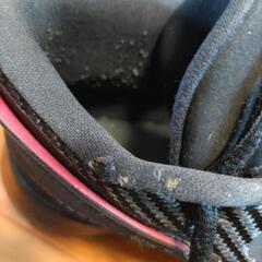 ジョーダン　バッシュ  25,5cmの画像