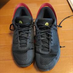 ジョーダン　バッシュ  25,5cm