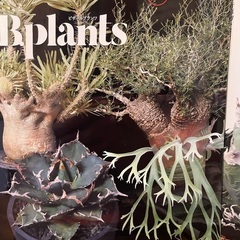 ビザールプランツ・コーデックス雑誌・図鑑の画像