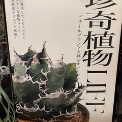 ビザールプランツ・コーデックス雑誌・図鑑の画像