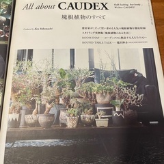 ビザールプランツ・コーデックス雑誌・図鑑の画像