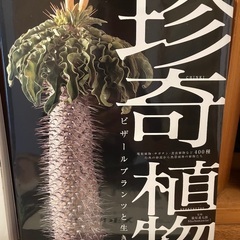 ビザールプランツ・コーデックス雑誌・図鑑の画像