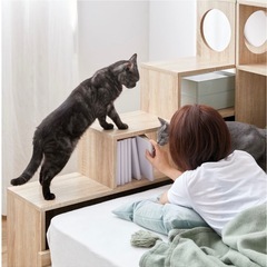 LOWYA キャットウォーク収納の画像