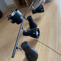 照明