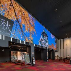 クールジャパンパーク大阪・大ホールのロビーのみ。