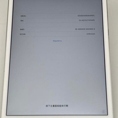 iPadmini3
