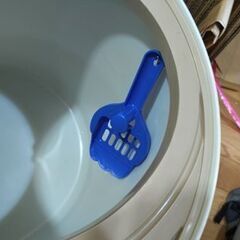 【無料】急募美品アイリスオーヤマIRISOHYAMA猫用のトイレの画像