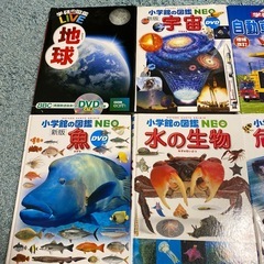 図鑑6冊セットの画像