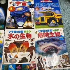 図鑑6冊セットの画像