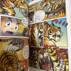 【ビニールカバー付】どっちが強い！？　ライオンVSトラの画像