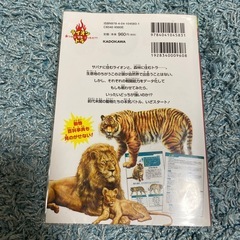 【ビニールカバー付】どっちが強い！？　ライオンVSトラの画像