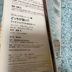 【ビニールカバー付】どっちが強い！？　ライオンVSトラの画像