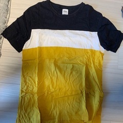 ZARA Tシャツ