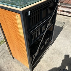 アクアリウムセット　大幅値下げ中
の画像