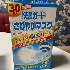 スーパーガードマスク60枚入り爽やかマスク30枚入（相談中）の画像