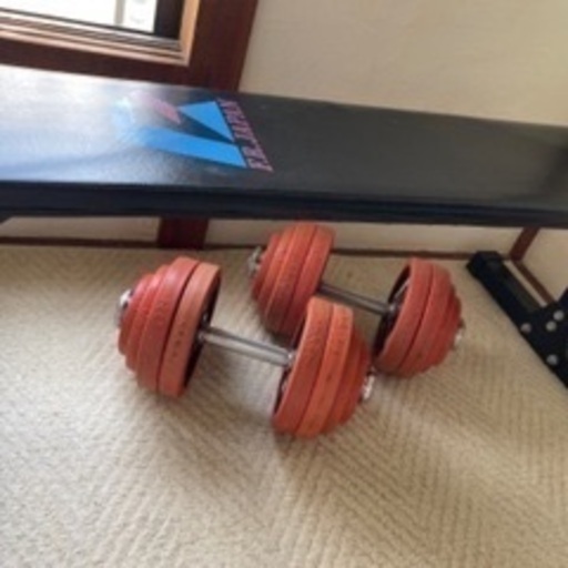 ダイベル　鉄　中古　Fighting Road ファイティングロード　55kg