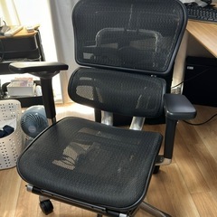 エルゴヒューマンプロの画像