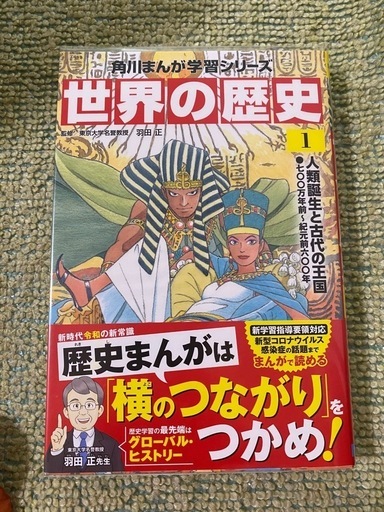 【未使用品•カバー付】角川まんが学習シリーズ 世界の歴史 全20巻定番セット