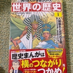 【未使用品•カバー付】角川まんが学習シリーズ 世界の歴史 全20巻定番セットの画像