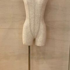 女性トルソー