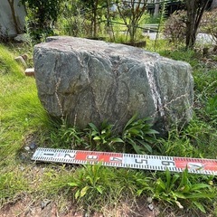 中型庭石 緑石 緑閃石 