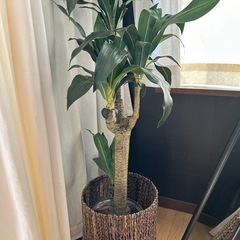 家具色々