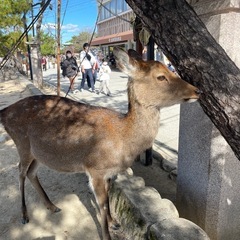 新たなる友達🥹 - 佐賀市