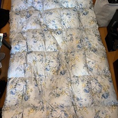 シングルの羽毛布団 ダウン85% おそらく西川  の画像