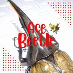 昆虫くじ　8月18日