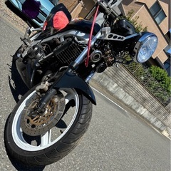 
　HONDA  vtz250の画像