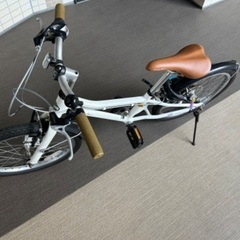 【交渉中のため購入停止中】コーダブルーム　アッソン20の画像