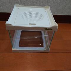 爬虫類ケース小　昆虫や小型の爬虫類、両生類の飼育ケージ※最終値引...