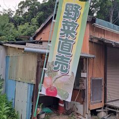 野菜無人販売　紫山芋