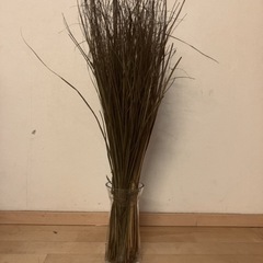 ガラスの花瓶と大きめ観葉植物。