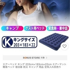 電動空気入れ付き！エアーベッド
