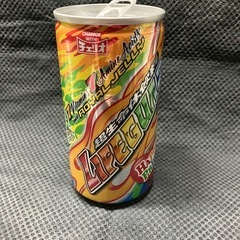 ライフガード【コレクター必見‼】