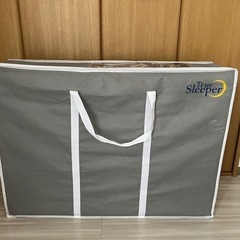 トゥルースリーパー　シングル
　の画像