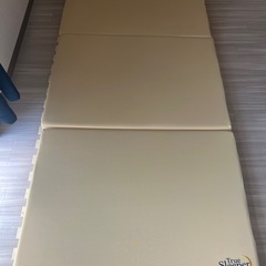 トゥルースリーパー　シングル
　
