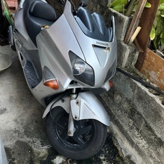 mf06 フォルツァの画像