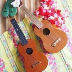 募集終了しました🙏🌺 ウクレレサークル Hoaloha（ホアロハ...